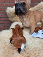 Flattie vos, Ophalen of Verzenden, Nieuw, Knuffels