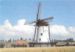 AK Scherpenisse - Stellingmolen "De Korenbloem", Verzamelen, Ansichtkaarten | Nederland, Verzenden, 1960 tot 1980, Gelopen, Noord-Brabant