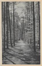 AK Ginneken - Eeuwige laantje, Verzenden, 1920 tot 1940, Ongelopen, Noord-Brabant