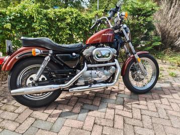 Harley Davidson Sportster 883 1987 beschikbaar voor biedingen