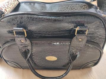 Hondenreistas beschikbaar voor biedingen