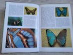 Vlinder encyclopedie Wijbren Landman, Boeken, Natuur, Verzenden, Zo goed als nieuw, Natuur algemeen