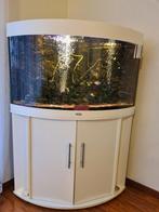 JUWEL AQUARIUM TRIGON 190 WIT + MEUBELKAST WIT, Dieren en Toebehoren, Vissen | Aquaria en Toebehoren, Ophalen, Gebruikt, Grind, Zand of Voedingsbodem