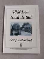 Woudsend oude foto's en ansichten.  Wäldsein troch de tiid, Ophalen of Verzenden, 1980 tot heden, Gelopen, Friesland