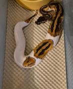1.1 pied dh lav clown, Dieren en Toebehoren, Reptielen en Amfibieën, Slang, 0 tot 2 jaar
