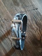 Hondenhalsband, Dieren en Toebehoren, Ophalen of Verzenden, Nieuw