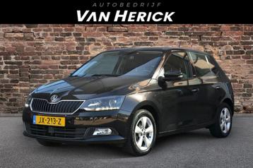 Skoda Fabia 1.2 TSI JOY | Cruise | Trekhaak | Stoelverwarmin beschikbaar voor biedingen