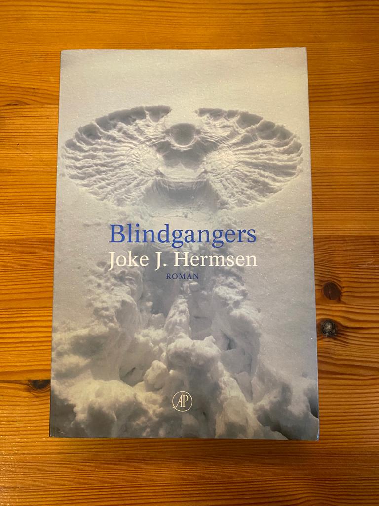 Joke J. Hermsen - Blindgangers, Ophalen of Verzenden, Zo goed als nieuw, Joke J. Hermsen, Overige onderwerpen