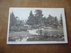 APELDOORN  >  WILHELMINAPARK MET MAN  BRIEFKAART, Verzamelen, Ansichtkaarten | Nederland, Verzenden, Voor 1920, Ongelopen, Gelderland