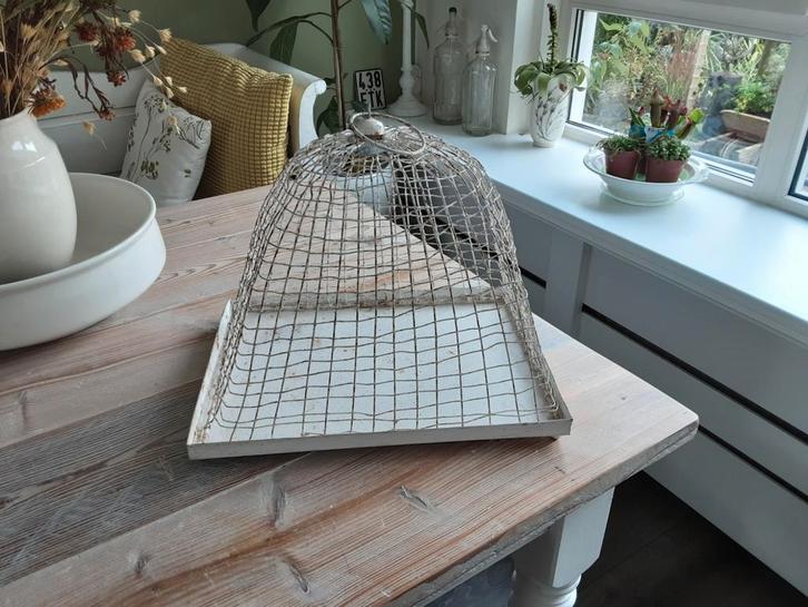 Leuke ijzeren stolp met schotel., Huis en Inrichting, Woonaccessoires | Stolpen, Ophalen of Verzenden