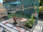 Knaagdierenkooi of vogelkooi voor buiten of binnen, Dieren en Toebehoren, Ophalen of Verzenden, Gebruikt, Metaal, Volière