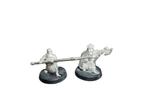 Warhammer Middle Earth Khazad Dum Durin and Mardin, ., Warhammer, Ophalen of Verzenden, Zo goed als nieuw
