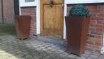 bloembakken van cortenstaal, Ophalen, Gebruikt, Minder dan 60 cm, Vierkant