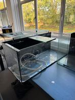 Verschillende Aquaria (bieden per stuk), Dieren en Toebehoren, Vissen | Aquaria en Toebehoren, Ophalen, Gebruikt, Plant(en), Steen of Hout