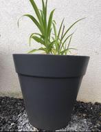 Diverse kunsstofpotten inclusief bio tuinplanten, 25 tot 40 cm, Kunststof, Gebruikt, Rond