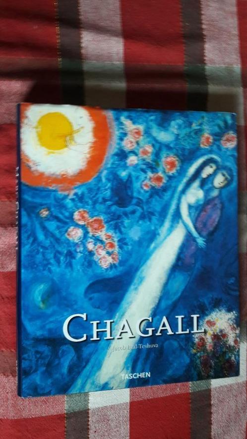 Marc Chagall religie kunst joden, Boeken, Kunst en Cultuur | Beeldend, Gelezen, Schilder- en Tekenkunst, Ophalen of Verzenden