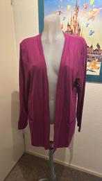 Nieuw cyclaam kleurig vest maat XL merk Dreamstar, Kleding | Dames, Truien en Vesten, Dreamstar, Overige kleuren, Maat 46/48 (XL) of groter