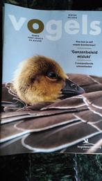 12 issue vogels magazine, vogelbescherming. Gratis ophalen., Ophalen, Zo goed als nieuw, Vogels