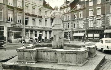 (388-499-037) Maastricht  t Mooswief beschikbaar voor biedingen