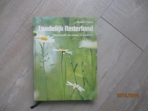 Reisboeken Nederland  -- België -- Afrika . !!, Boeken, Reisgidsen, Zo goed als nieuw, Reisgids of -boek, Europa, Overige merken