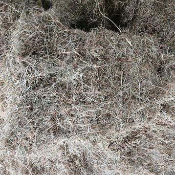 Kleine Hooipakjes - hooi - Weidehooi voor Dieren beschikbaar voor biedingen