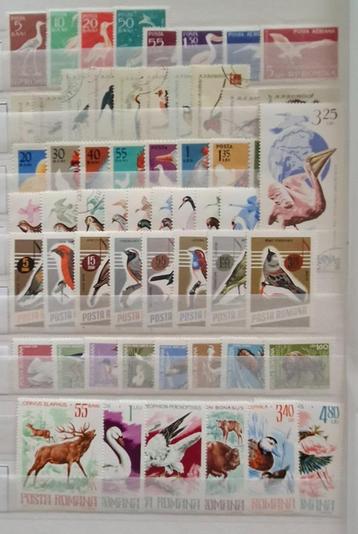 Vogelpostzegels Roemenië beschikbaar voor biedingen
