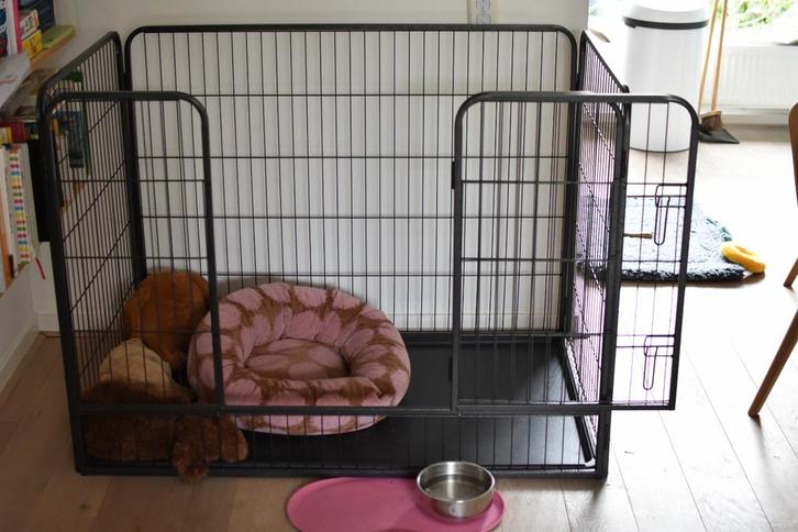 Puppyren 125l x 80b x 90h, Dieren en Toebehoren, Hondenhokken, Zo goed als nieuw, 65 tot 100 cm, 110 cm of meer, Ophalen