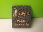 Magneet - Tenerife - Teide - Spanje, Ophalen of Verzenden, Zo goed als nieuw