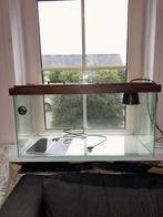 Terrarium 100x40x40, Ophalen, Gebruikt, Terrarium of Paludarium