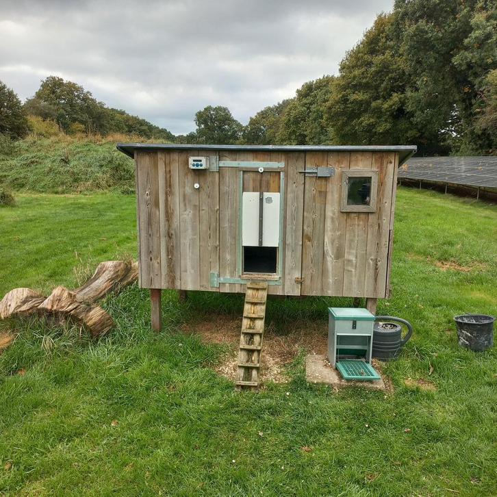 Zelf gemaakt kippenhok inclusief toebehoren, Dieren en Toebehoren, Pluimvee | Toebehoren, Gebruikt, Kippenhok of Kippenren, Ophalen