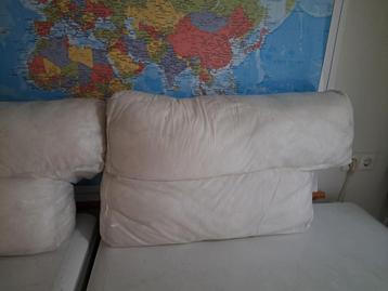 Ikea Ektorp 2-zits bank rugkussens