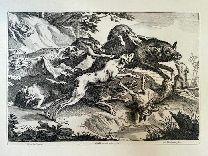 GROOT - Lucas Vorsterman / de everjacht Mooie Gravure, Antiek en Kunst, Kunst | Etsen en Gravures, Ophalen of Verzenden