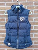 GAASTRA Body warmer voor Dames. Maat XS, Kleding | Dames, Bodywarmers, Ophalen of Verzenden, Zo goed als nieuw, Maat 34 (XS) of kleiner