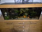 Aquarium, Ophalen, Zo goed als nieuw, Leeg aquarium