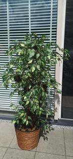 Prachtige kunstplant nieuw 155 cm, Ophalen of Verzenden, Nieuw, Binnen