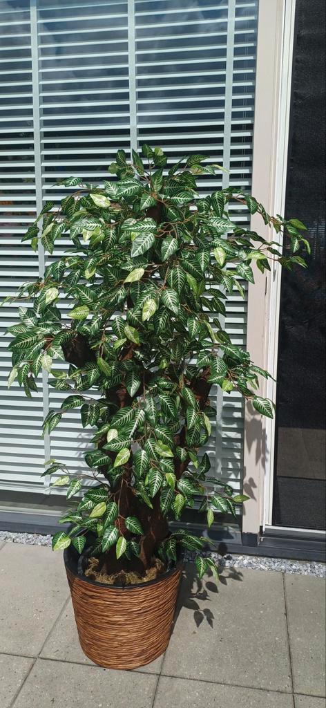 Prachtige kunstplant nieuw 155 cm, Huis en Inrichting, Woonaccessoires | Kunstplanten en Kunstbloemen, Nieuw, Binnen, Buiten, Ophalen of Verzenden