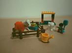 Lego duplo paarden set nummer 10806, Ophalen, Gebruikt, Complete set, Duplo