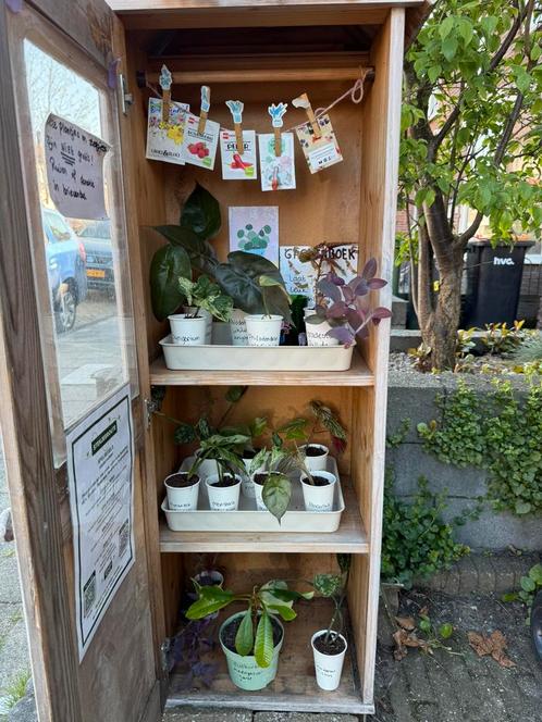 Planten en stekjes ruilkast!, Huis en Inrichting, Kamerplanten, Overige soorten, Minder dan 100 cm, Ophalen