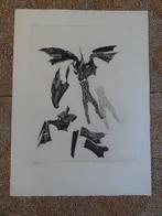 Grote ets van Roger Chailloux uit 1966 bladmaat 64 x 87 cm, Verzenden