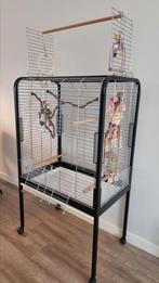 Grote vogelkooi, Ophalen, Gebruikt, Metaal, Vogelkooi