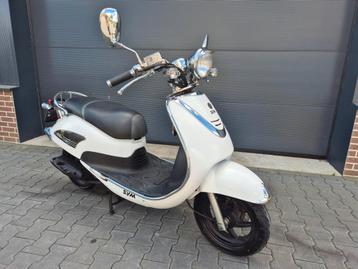 Sym Allo 4T 50cc Bromscooter 11457 km BJ 2016 beschikbaar voor biedingen