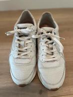 Floris van Bommel, damessneakers maat 39, Wit, Floris van Bommel, Ophalen of Verzenden, Sneakers of Gympen