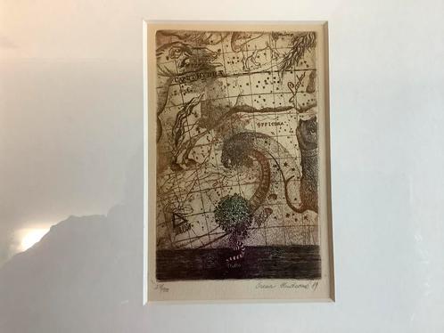 Schilderij Litho Ets zeefdruk Zodiak Sterrenstelsel Hudcová, Antiek en Kunst, Kunst | Litho's en Zeefdrukken, Ophalen of Verzenden