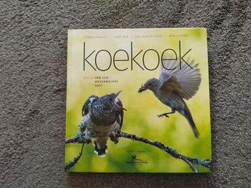 Koekoek - Beeld van een onverwachte gast beschikbaar voor biedingen