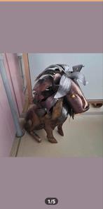 Metalen Leeuw met Kleurrijke Manen - Eyecatcher!, Ophalen, Zo goed als nieuw, Metaal, Dierenbeeld