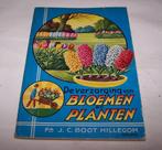 Vintage-De Verzorging van Bloemen en Planten. Fa. J.C. Boot., Antiek en Kunst, Ophalen of Verzenden, Fa. J.C. Boot