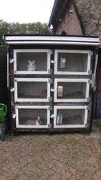 konijnenhok flat  voor 3 of 6 konijnen, Dieren en Toebehoren, Knaagdieren en Konijnen | Hokken en Kooien, Ophalen, Cavia, 90 cm of meer