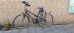 Koga miyata travellerlady mt50, Ophalen, 28 inch, Gebruikt, Koga Miyata