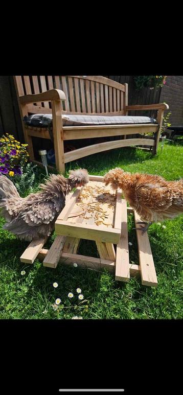 Chicknick tafels  voeder kippentafel beschikbaar voor biedingen