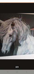 Glas schilderij paard, Ophalen